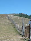 Neulos 2002