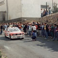 Garrigues 1990