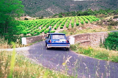 Roussillon 1987