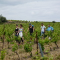 Picharottes 2012