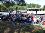 Dragons 2012