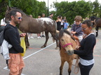 Fête nature 2014
