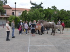 Fête nature 2014
