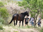 Fête nature 2014