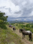Fête nature 2014