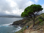 2019 - Port-Vendres - Cap Béar - Paulilles.