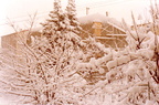 Neige 1980