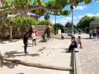 Pétanque 2024