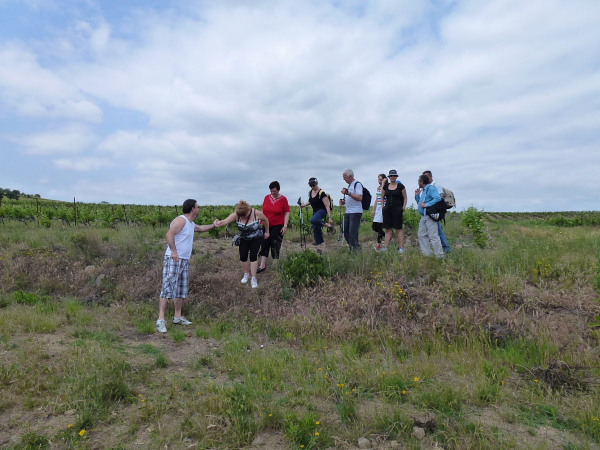 2012_0527_10_marche_55.jpg